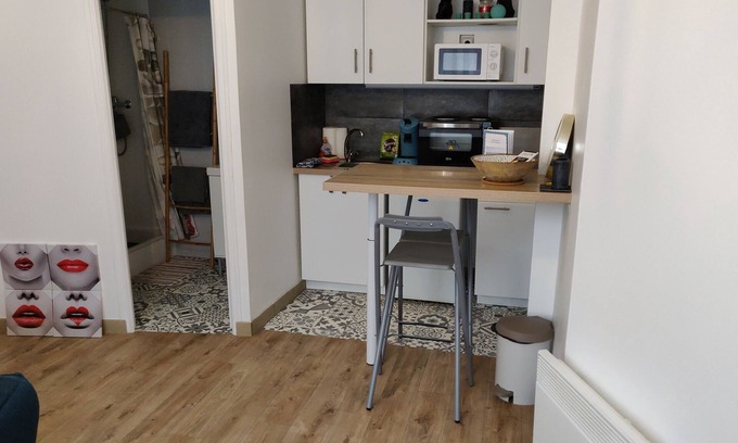 Saint-Brieuc Apartment | Studio near station & center, parking, ground floor