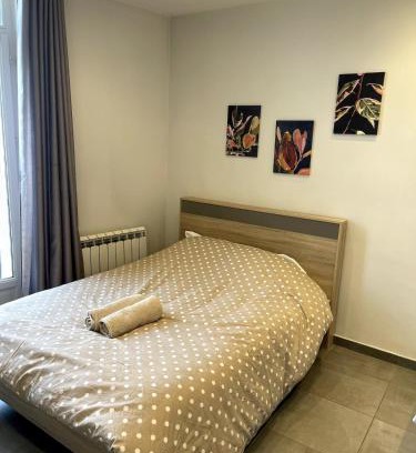 Le Puy-en-Velay Apartment | Studio - Travail & Détente - Puy