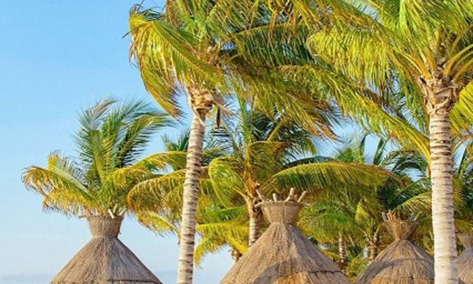 Punta Sam Villa | Studio Villa del Palmar Cancunnn