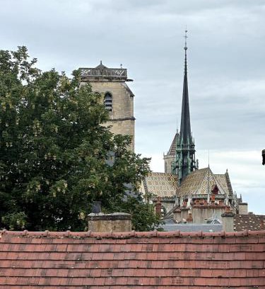 Centre Sud Apartment | Studio vue cathédrale St-Bénigne Dijon