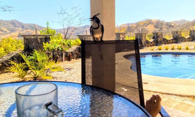 Playa Ocotal House | Stunning Mountain View 2 Story Loft Townhome. Beautiful Interior. Don't Wait!