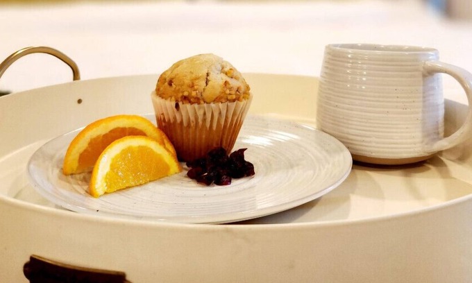 Hampton Apartment | Stylish Serenity: Upscale Studio Getaway for Business Professionals