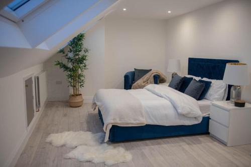 Lewisham House | Stylish Skylight Room in a Luxury House