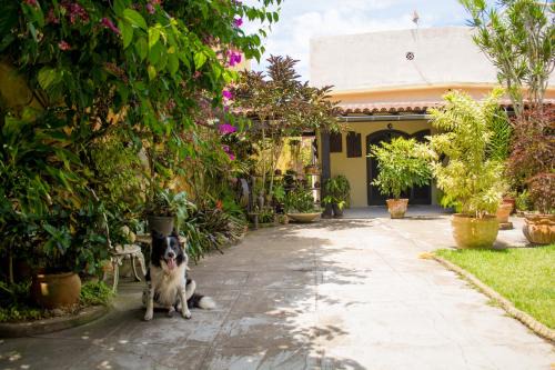 Arraial do Cabo Bed & Breakfast | Suíte no jardim - Praia dos Anjos