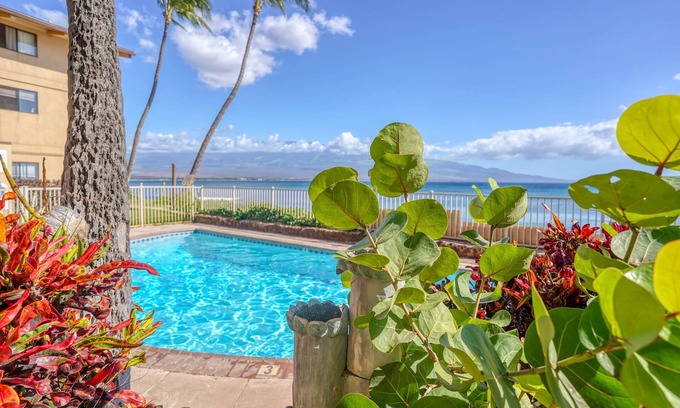Maalaea Condo | Suite Maui Paradise Condo - New Listing, Experienced Host!