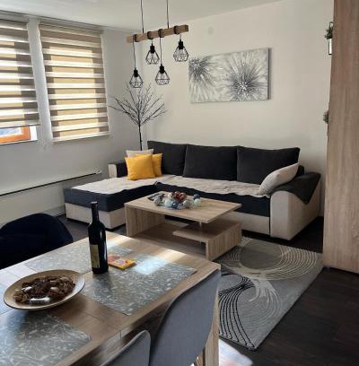 Kopaonik Apartment | Sunčani Breg apartman 10