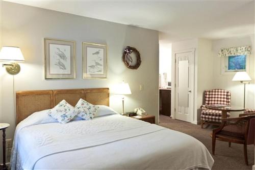 Lincolnville Cabin | Sunny Room with a Private Deck in a Bed and Breakfast near Camden Hills State Park, Maine