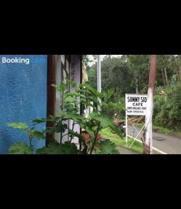 Almora House | Sunny-side cottage&cafe