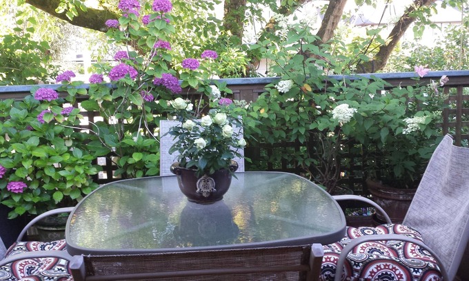Kitsilano House | Sunny South-Facing fully furnished one bedroom suite with a 10 X 20 Deck