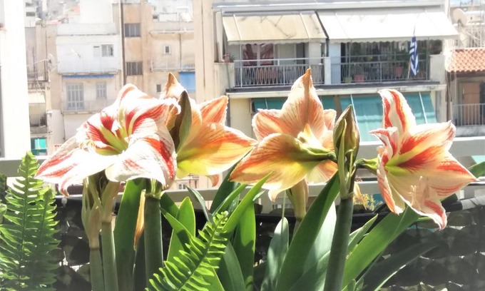 Kypseli Apartment | Sunny Studio Penthouse in center of Athens