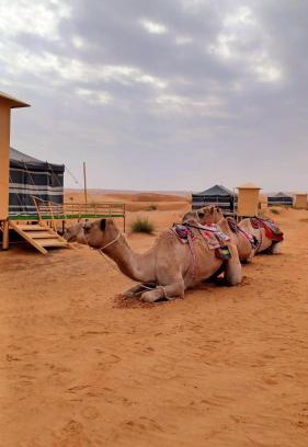 Bidiya Other | Sunrise Desert Local Private Camp