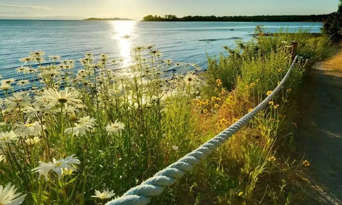 Regional District of Nanaimo Apartment | Sunrise Ridge Waterfront Resort