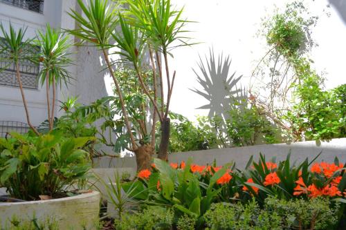Distrito Centro Apartment | Sunshine Patio del Circulo