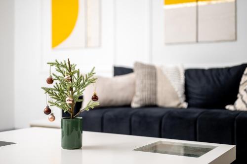 Subotica Apartment | Sunshine