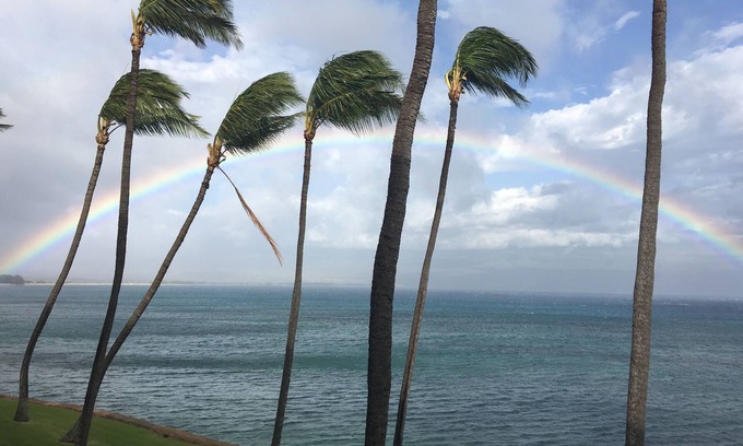 Maalaea Condo | Super Luxury, Direct Oceanfront, 20 yards From Ocean, Whale Watchers Paradise