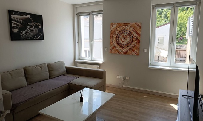 Mulhouse Apartment | Super T3 fully equipped quiet free parking nearby