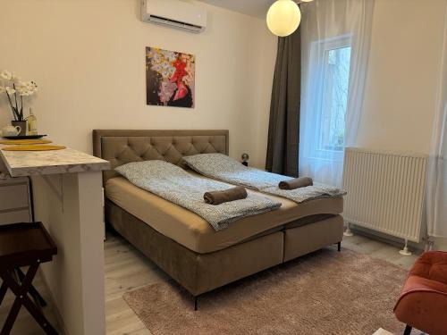 Orszagut Apartment | Suzannah Apartment by the Danube