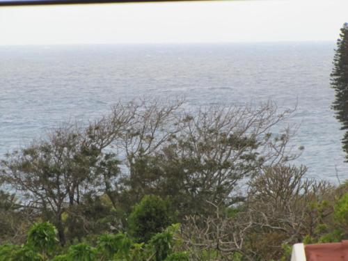 Port Edward House | Suzy's Place