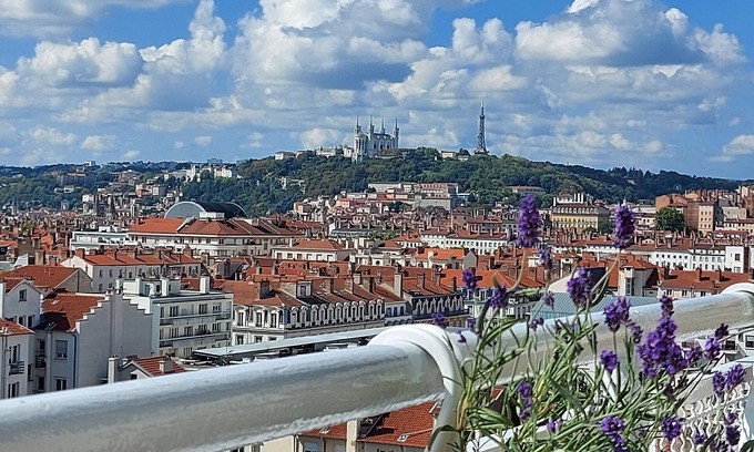 6th Arrondissement Apartment | Tête d'Or Terrace View Household Included Private garage