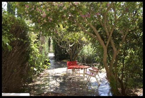 Porquerolles Apartment | T3 vue jardin à deux pas du centre du village