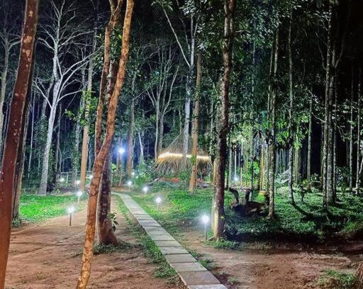Kidanganad Villa | Tall Trees - Modern forest Villa in Wayanad