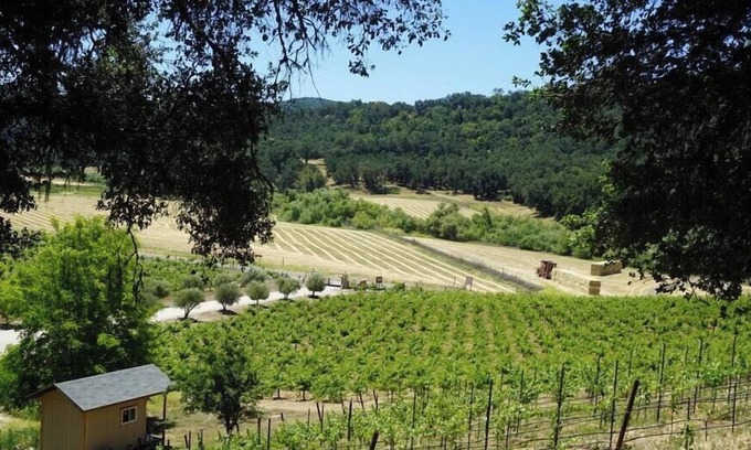 Paso Robles RV Rental | Tentrr Signature Site - Vineyard Glamping - Coleman Outfitted Site