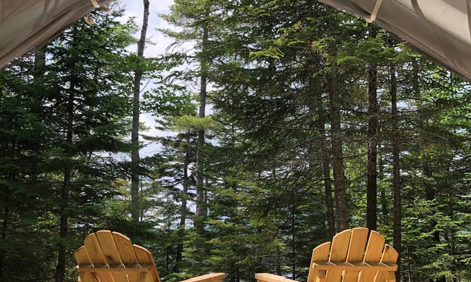 Stony Creek RV Rental | Tentrr Signature Site - Whispering Pines on Harrisburg Lake
