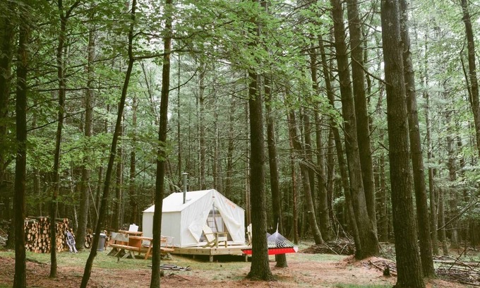 Mount Marion RV Rental | Tentrr Signature Site - Highwoods