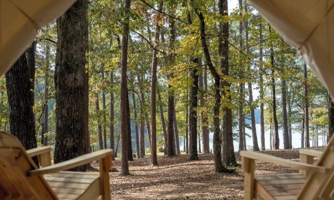 Morton RV Rental | Tentrr State Park Site - Mississippi Roosevelt State Park - I - Single Camp
