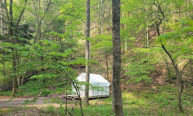 Swanton RV Rental | Tentrr State Park Site - Big Run State Park - Site B