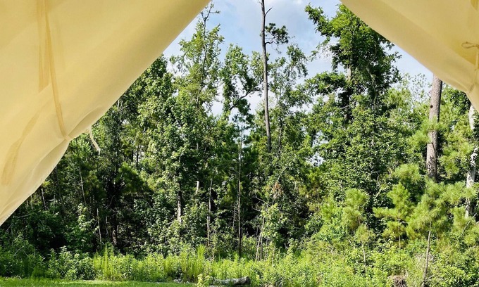 Lake Charles RV Rental | Tentrr State Park Site - Louisiana Sam Houston Jones State Park - Woodland I Sin