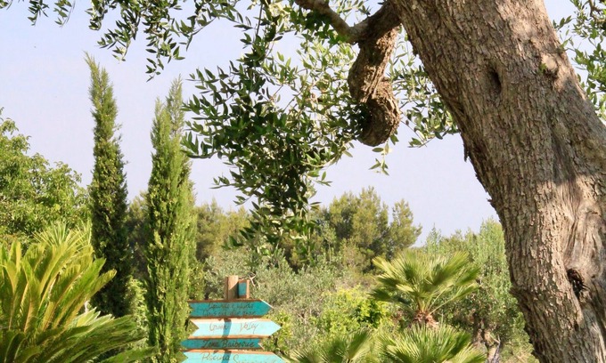 Mesagne Bed & Breakfast | Tenuta Donna Caterina