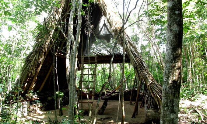 Macario Gomez Cabin | the BAREFOOT jungle loft