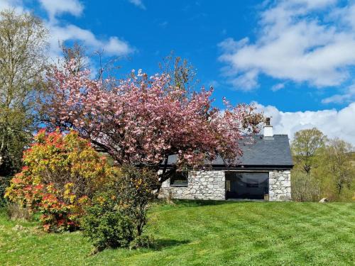 Torcastle House | The Barn