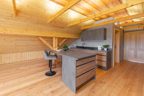 Kranj Apartment | The Barn Košnik