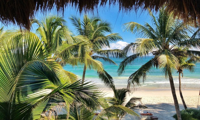 Zona Hotelera Resort | The Beach Tulum Hotel
