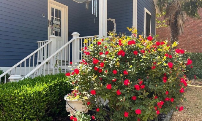 Natchez Bed & Breakfast | The Beaumont House