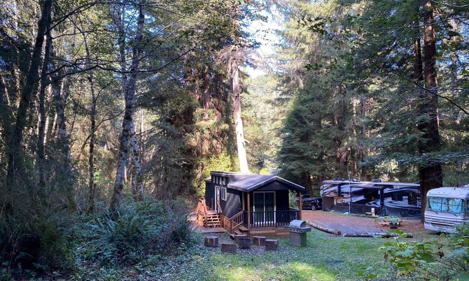 Klamath Cabin | The Black Bear Cabin - 2 bedrooms in the redwoods