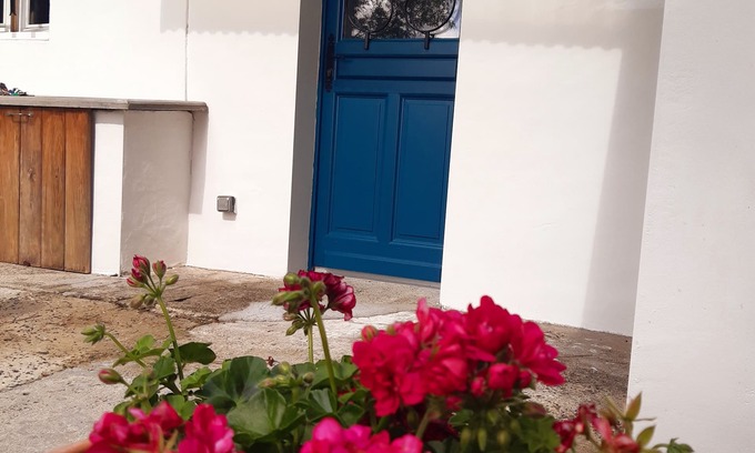 Anglet House | The blue house