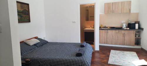 Kosancicev Venac Apartment | The Bridgeview Suite