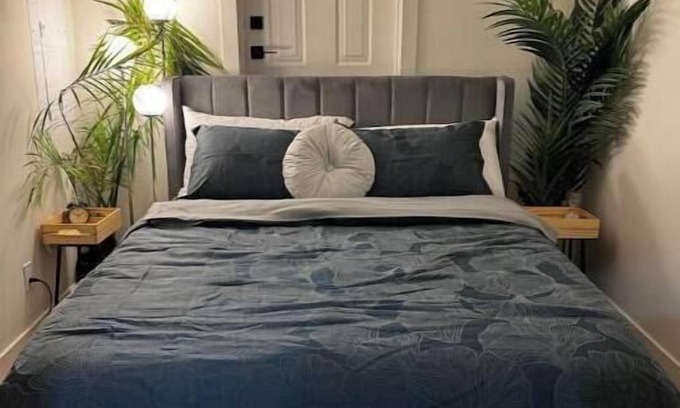 Surrey House | The Gateway Guesthouse