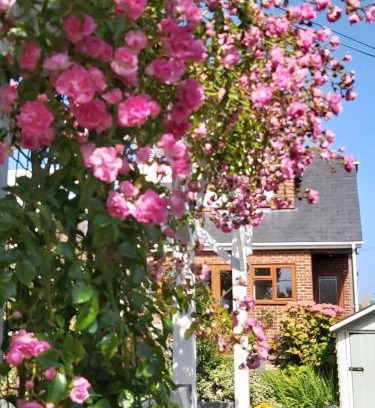 Icklesham Bed & Breakfast | The Gem