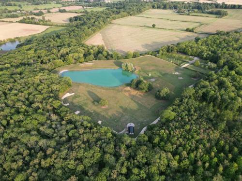 Wellesbourne Other | The Goose In The Woods