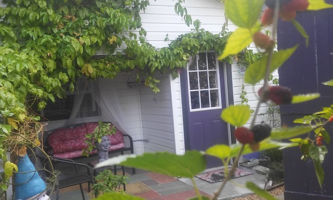 Clearwater Apartment | The Hideout at Sunset House and Gardens a bit of old style Florida