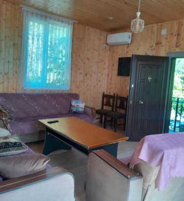 Adjara Hotel | The hotel in willege