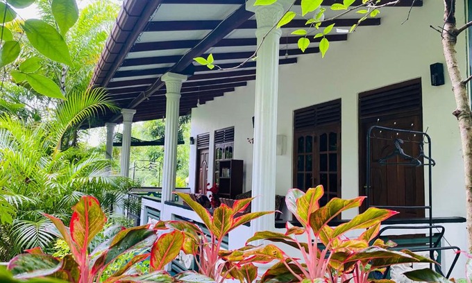 Sigiriya Cabin | The Jungle Path Lodge