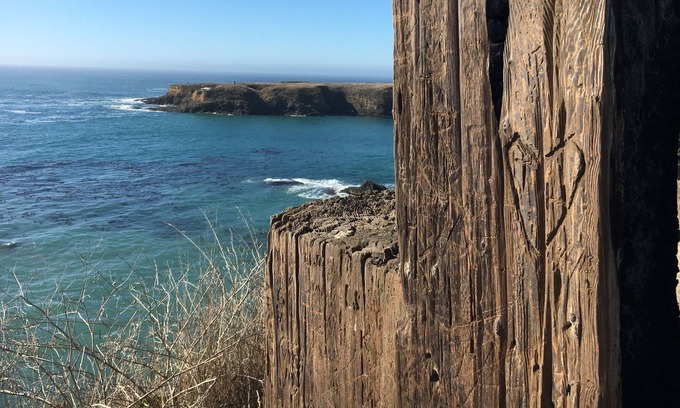 Mendocino Cottage | The Little Cottage
