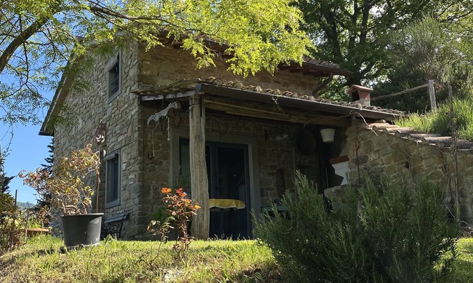 Vicchio Ski Chalet | "The little house in the woods" experience nature