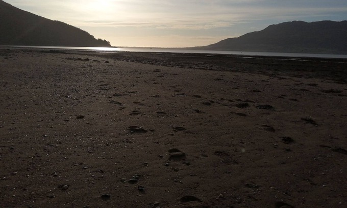 Rostrevor Bed & Breakfast | The Oystercatcher