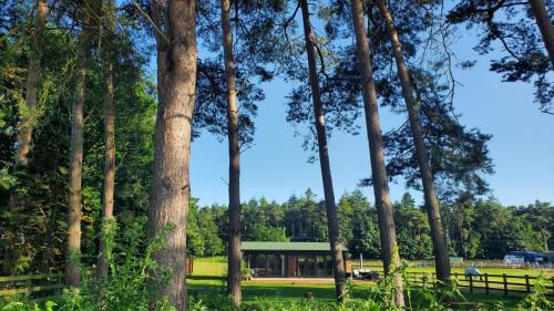 Aldborough House | The Retreat 1 bed cabin in the woods